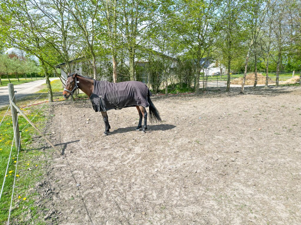Gamskærvej 5, Søby, 7840 Højslev