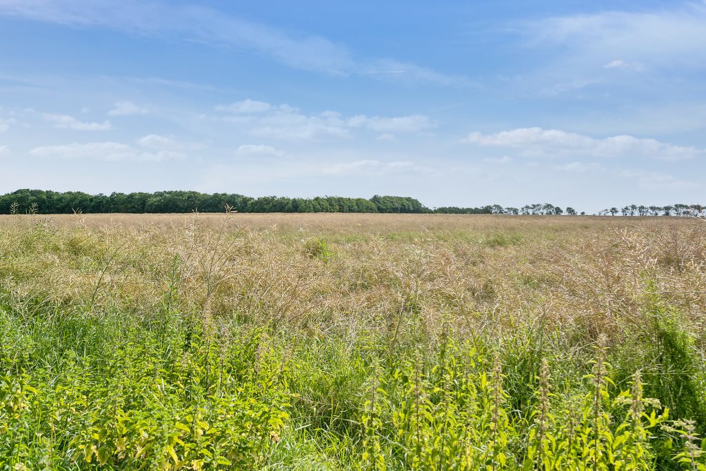 Uglkæret 6, Mollerup, 7860 Spøttrup